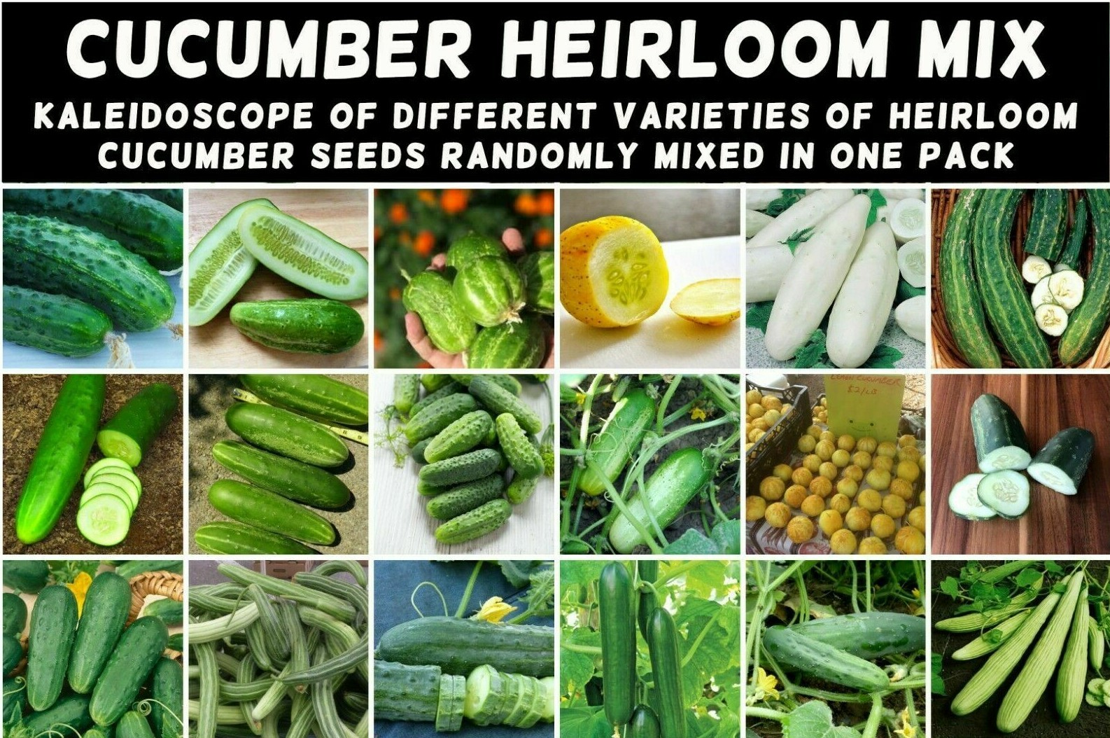 CUCUMBER ‘Heirloom Mix’ 25 Seeds ALL TYPES MIXED spring summer vegetable garden