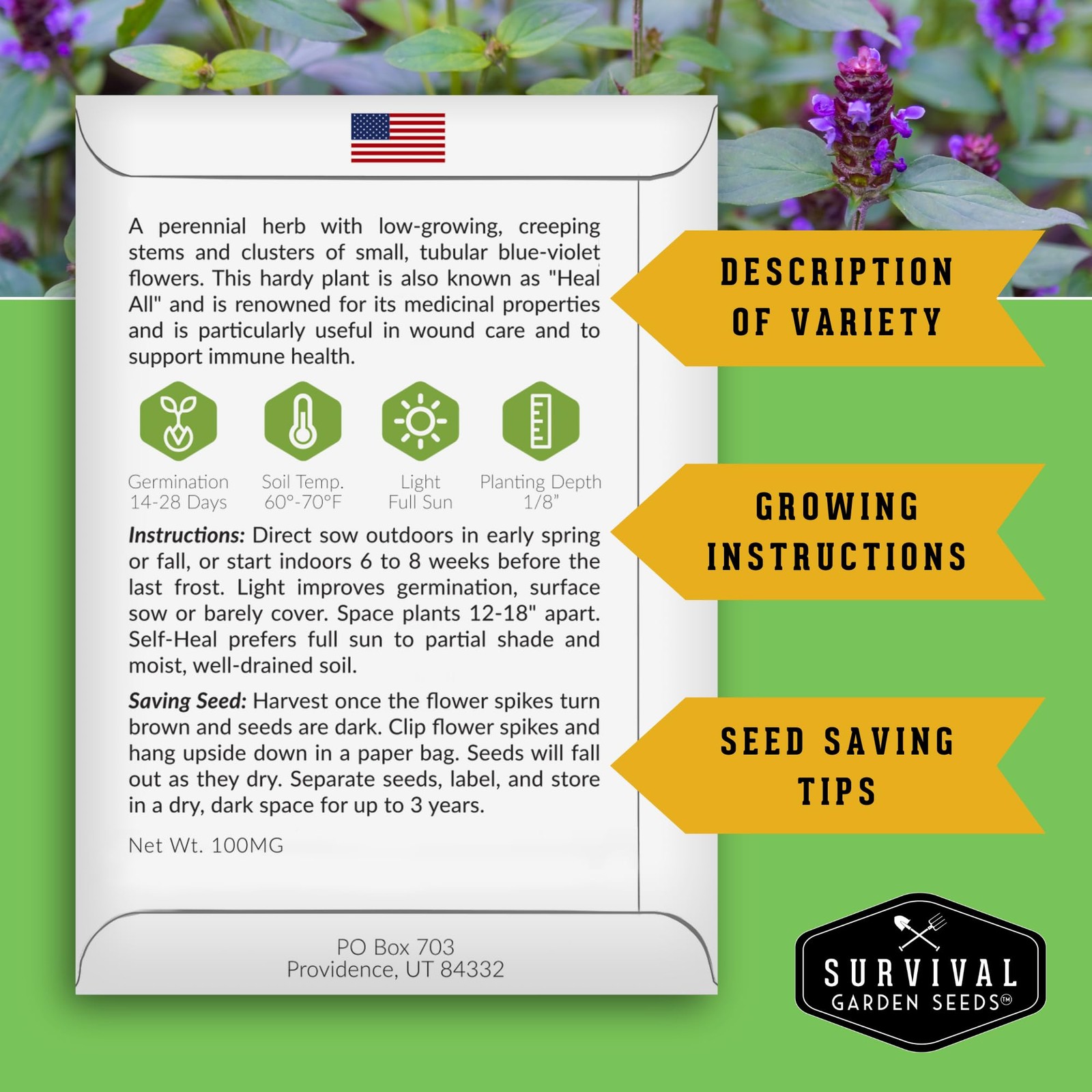 SelfHeal Seeds for Planting Hardy Perennial Ground Cover & Pollinator Herb