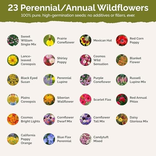 Midwest Wildflower Seed Mix – 1/4 lb, 120,000+ Seeds – Attract Pollinators, Plan