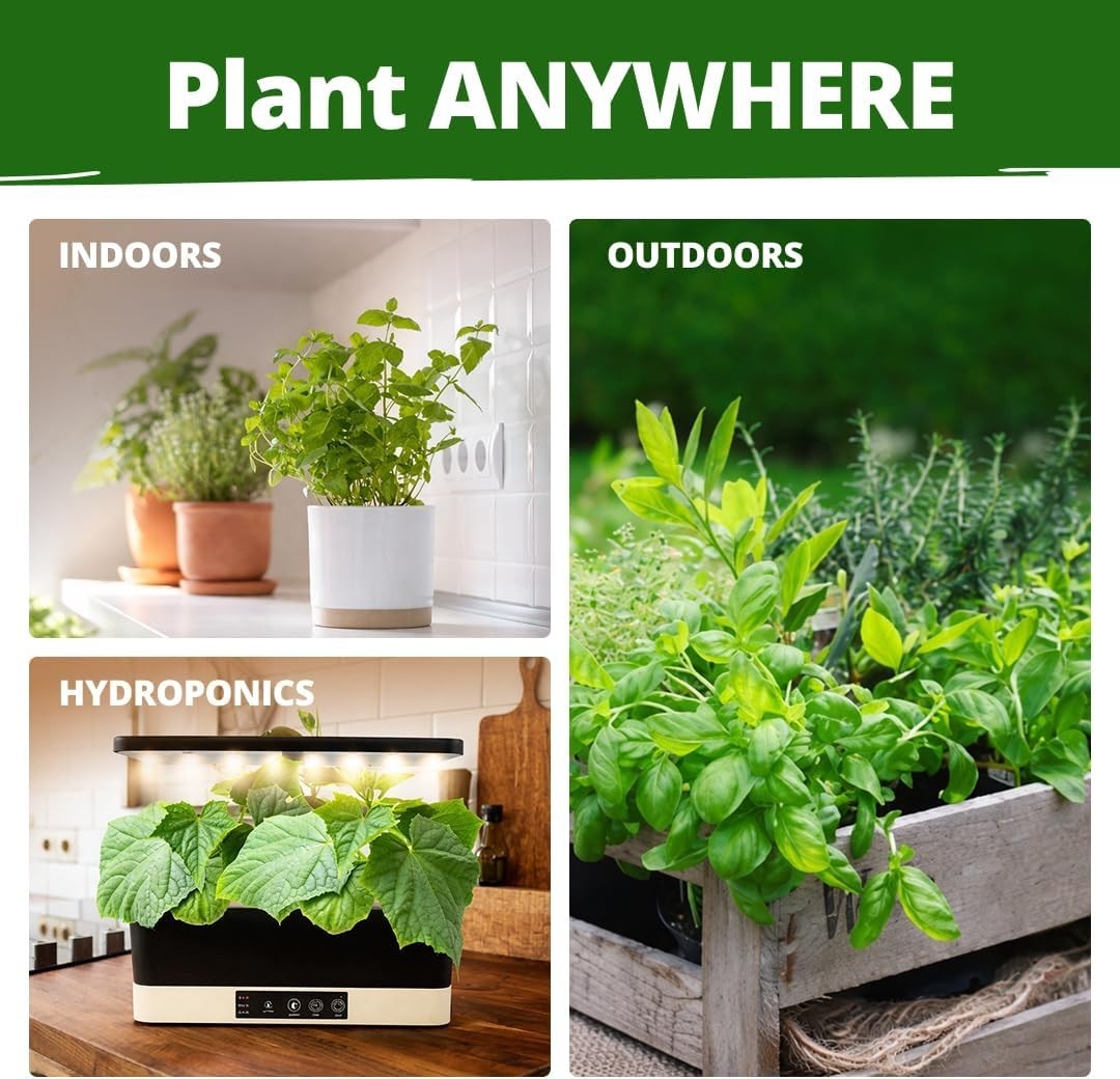 Massive 15-Pack Herb Seed Vault | Grow Your Own Fresh Herbs Indoors or Outdoors