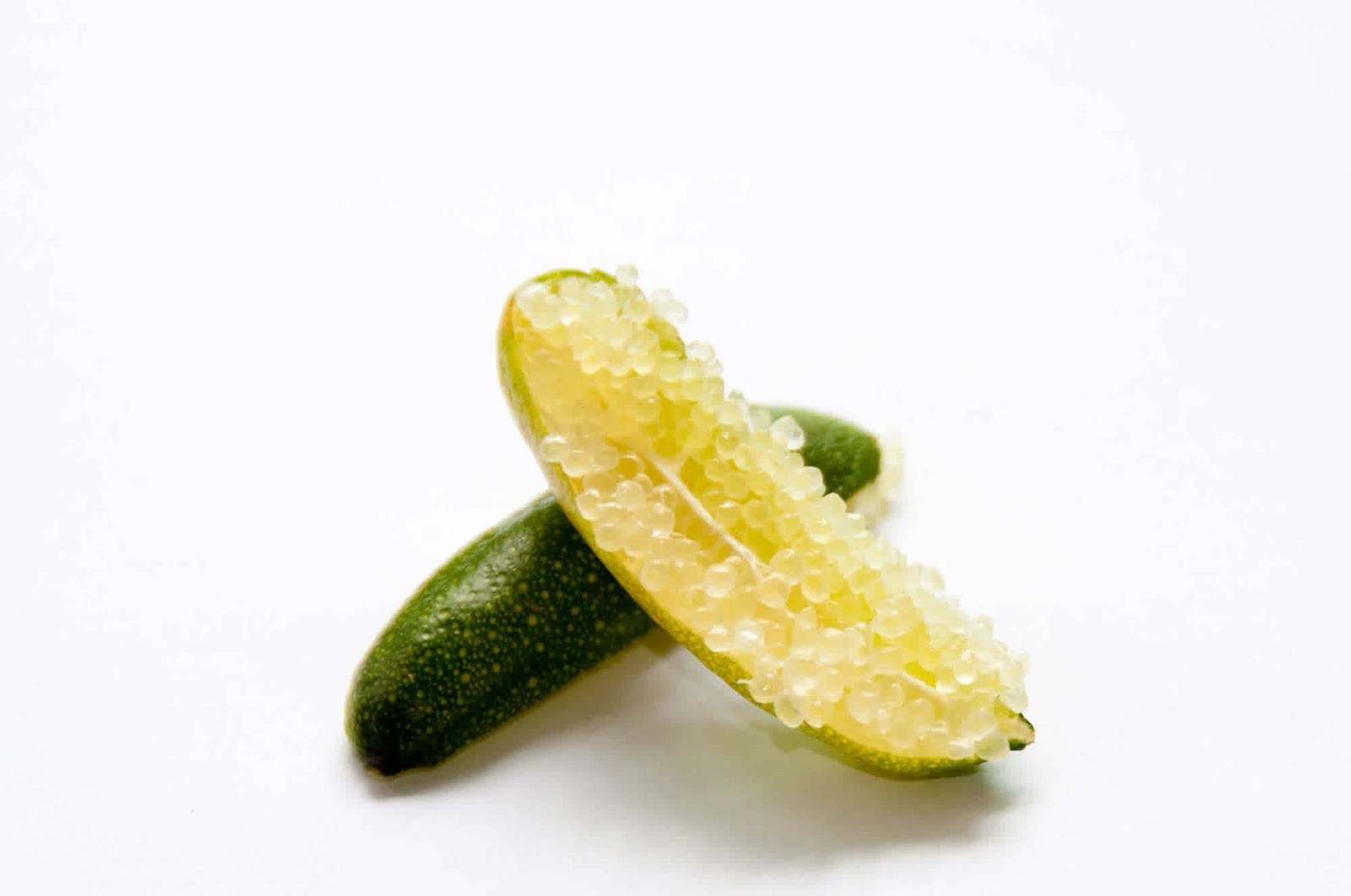 Australian Finger Lime 3 Cuttings No Root Ready To Plant