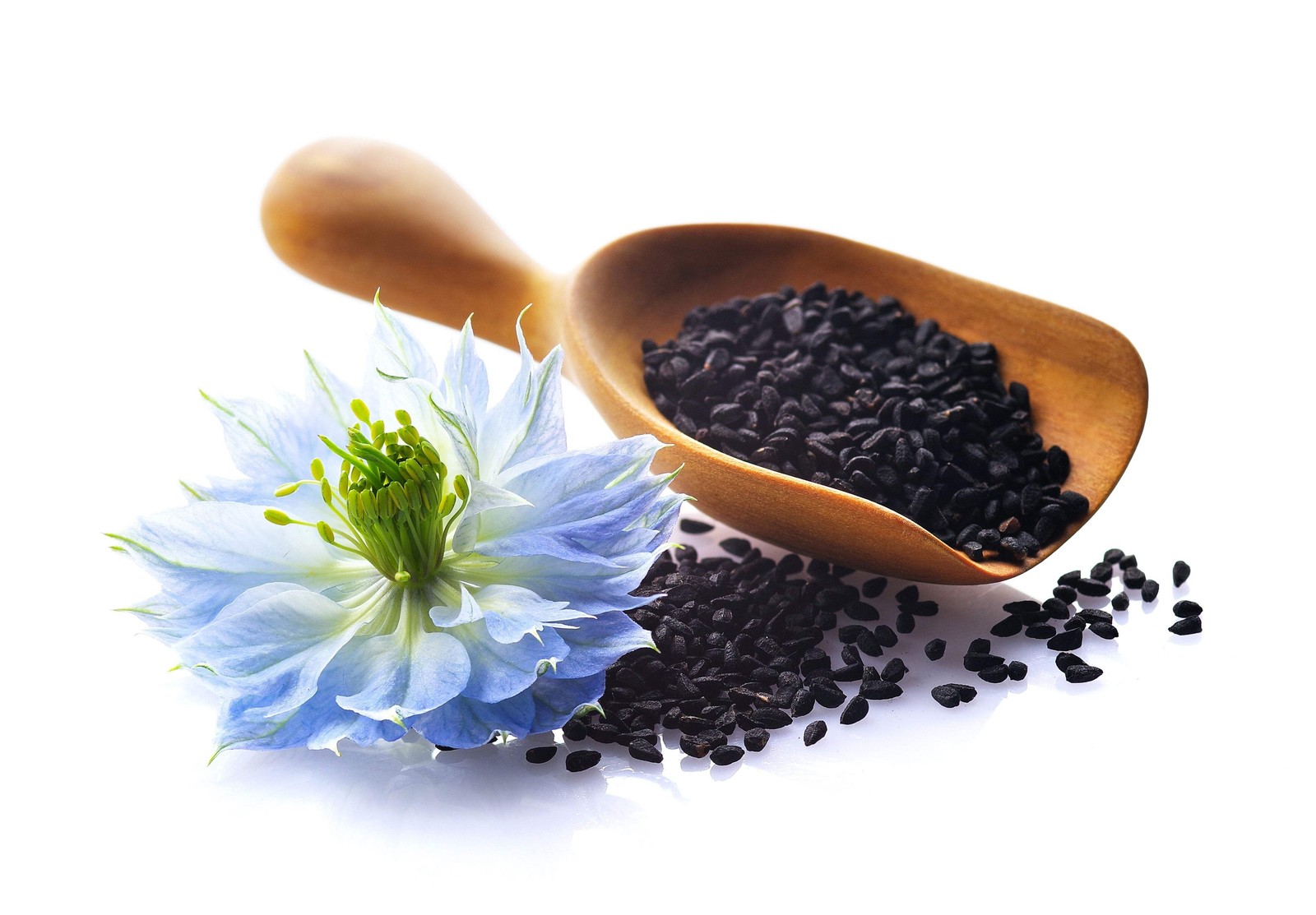 150 NIGELLA SATIVA BLACK CUMIN Spice Black Caraway Fennel Flower Herb Seeds