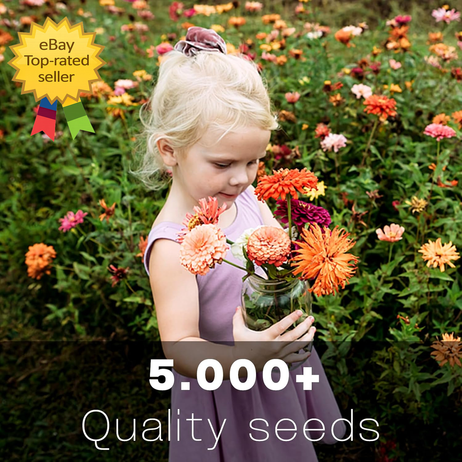 Zinnia Seeds Bulk 5,000 plus Outdoor Flower for Planting Giant Zinnia Seeds for