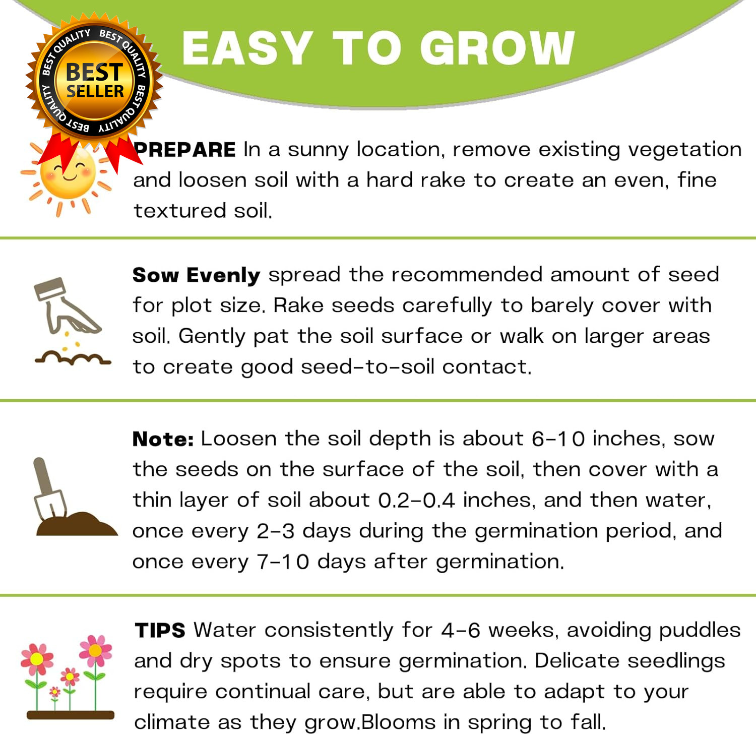 Zinnia Seeds Bulk 5,000+ | Outdoor Flower for Planting |Giant Zinnia Seeds