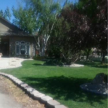 5 LBS – OptiGrowth Coated Showtime grass seed mix of fine fescue, Kentucky