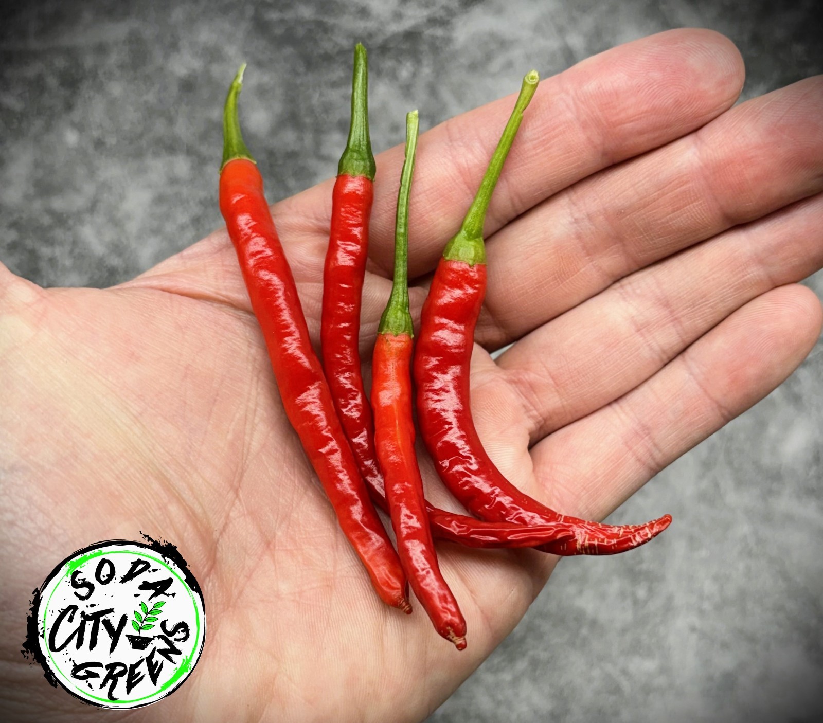 Dragon Thai Pepper Seeds