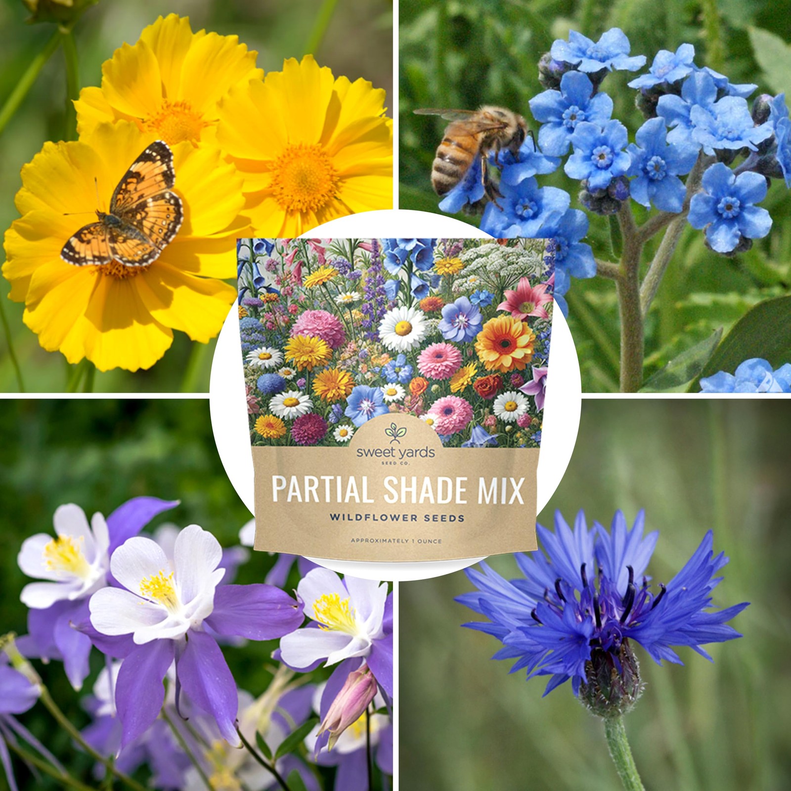 Wildflower Seeds Partial Shade Mix 1 Ounce 7000 Annual Perennial Planting