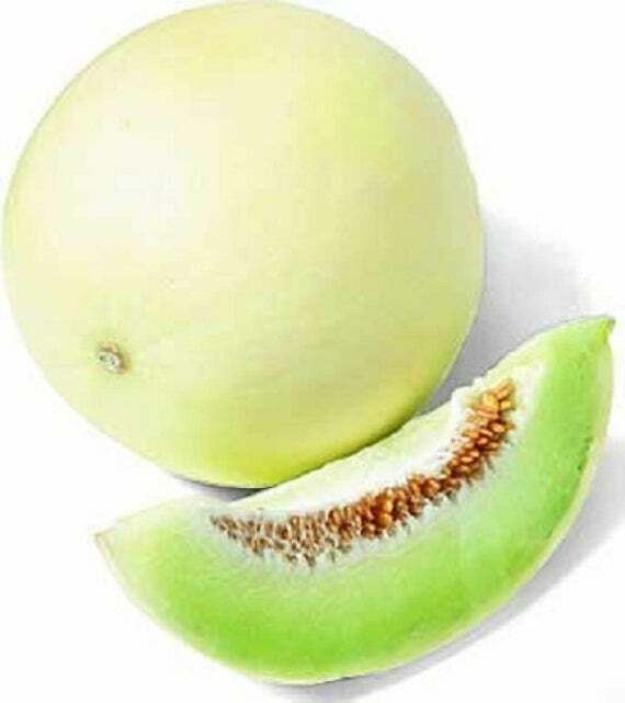25 HONEY DEW GREEN FLESH CANTALOUPE SEEDS FRESH HARVEST FOR 2024 GARDENS