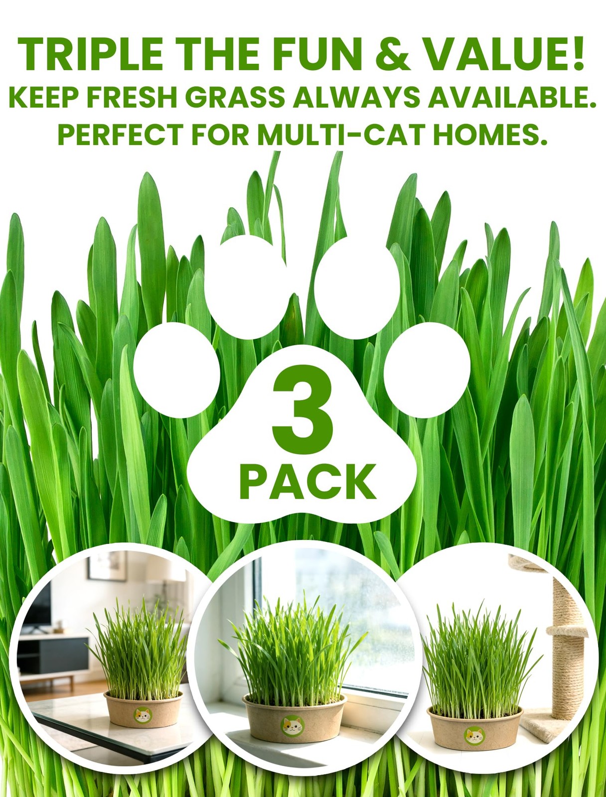 Cat Grass Kit for Indoor Cats, 3 Pack Fast Growing Cat Grass Kit with Eco-Fri…