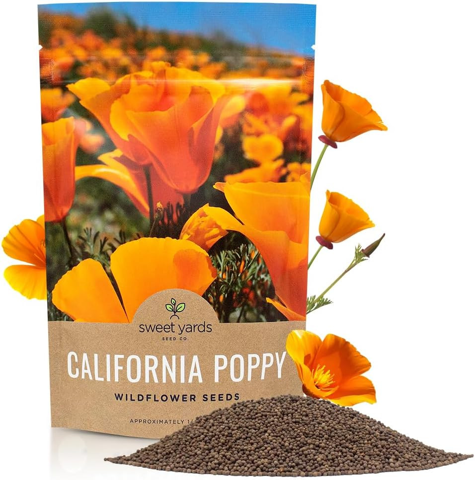 California Orange Poppy Wildflower Seeds – Bulk 1/4 Pound Bag – over 80,000 Nati