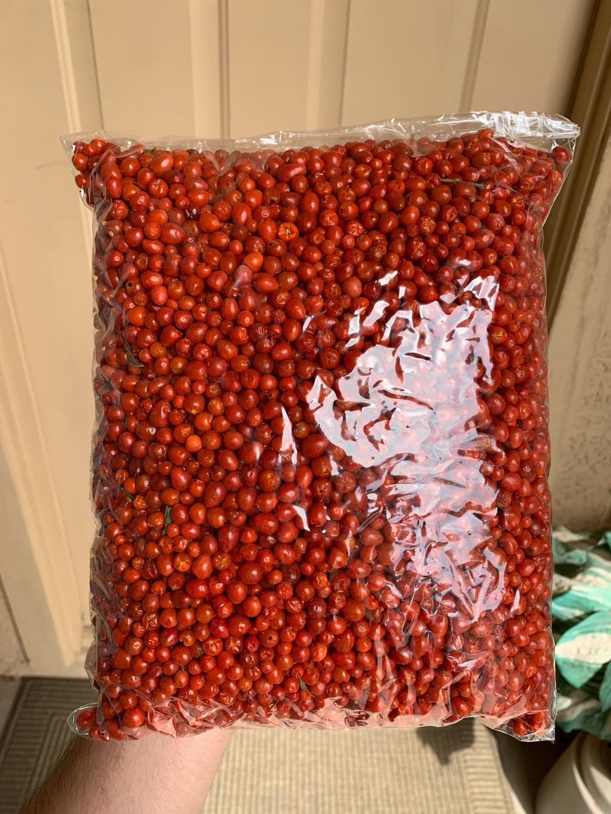 CHILTE FARM Chile Chiltepin Libra
