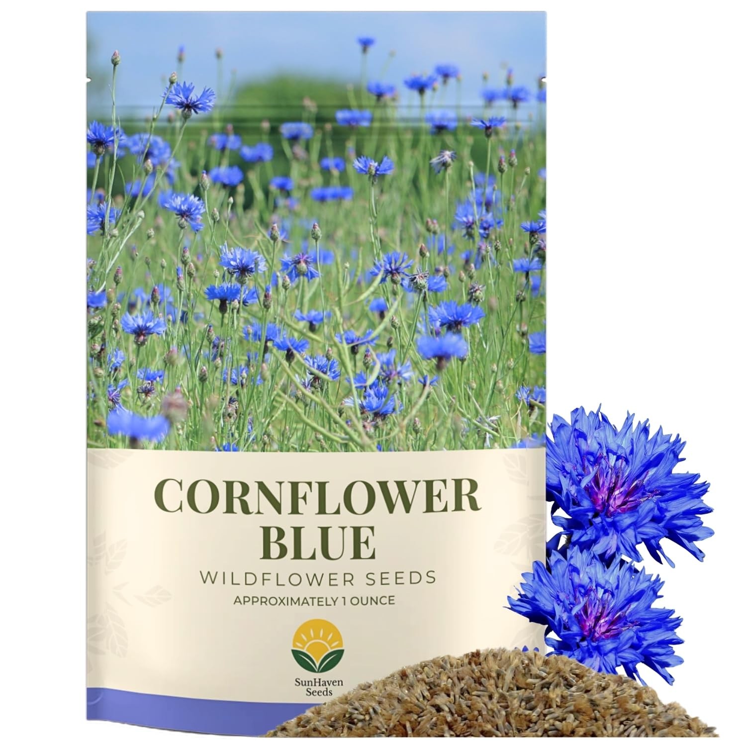 Bachelor Button Seeds Blue Cornflower 5,500+ OpenPollinated Wildflower