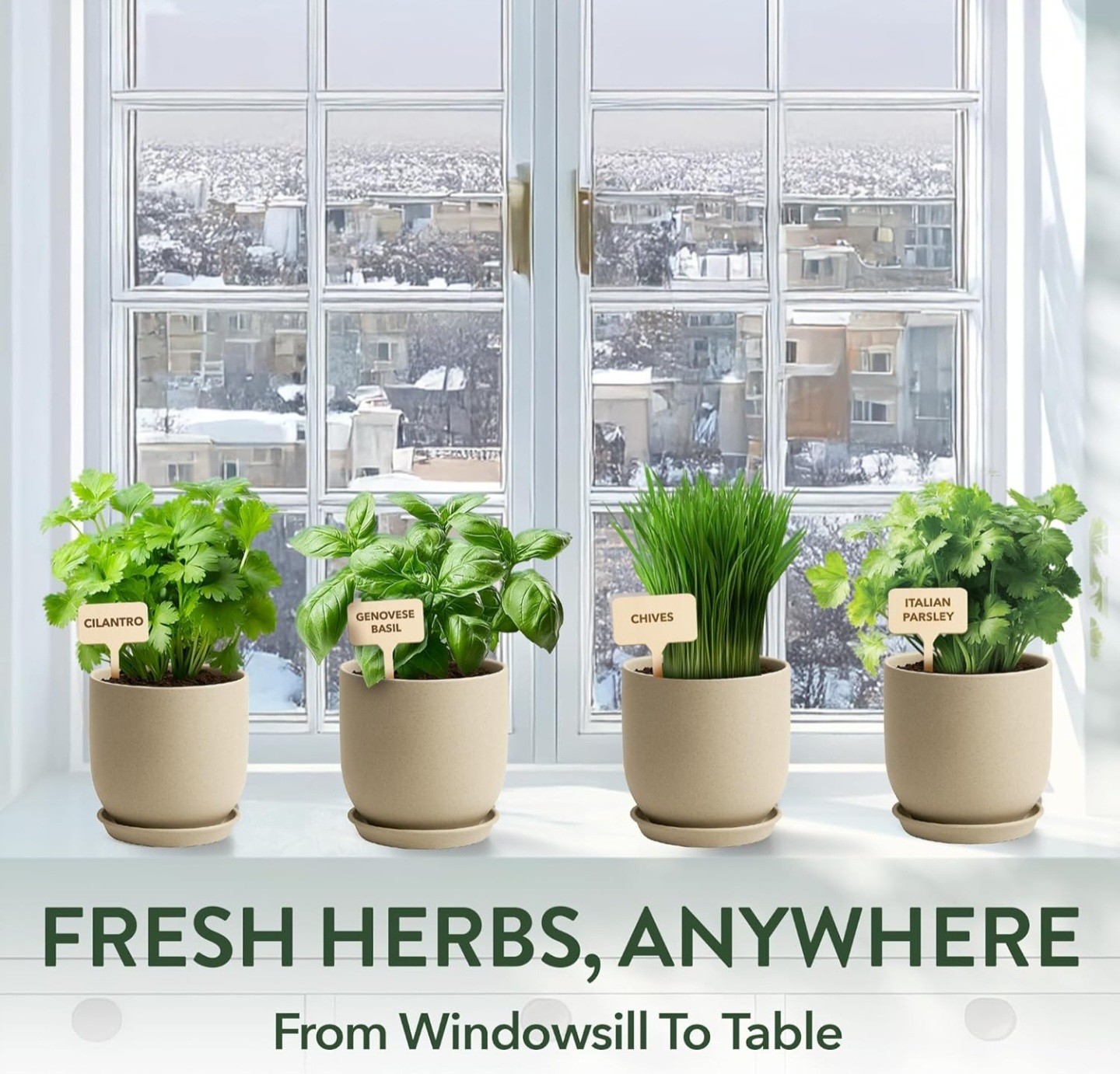 American Brand Herb Seeds Kit, Complete, Tools Included, Indoor & Outdoor