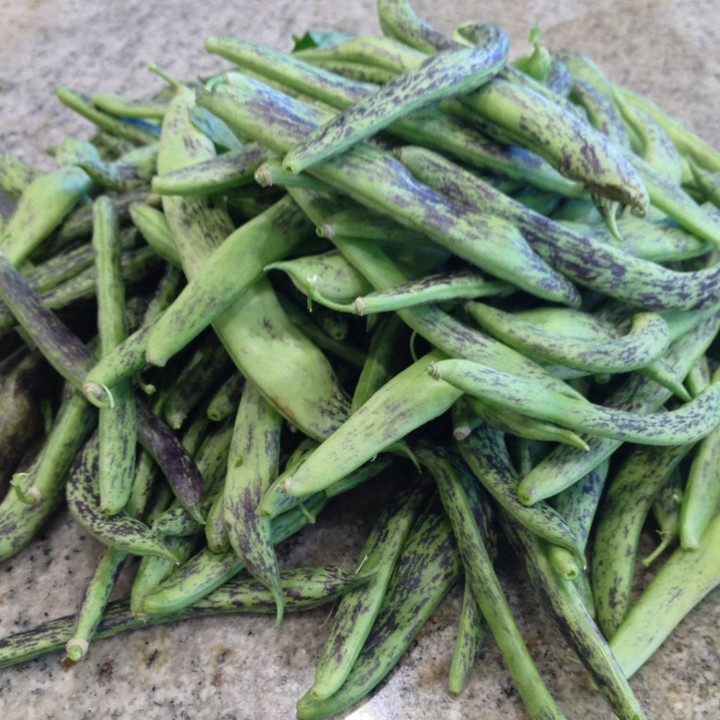 Rattlesnake Bean Seeds, Pole | Vining Purple Green Dragon Runner Beans Seed 2024