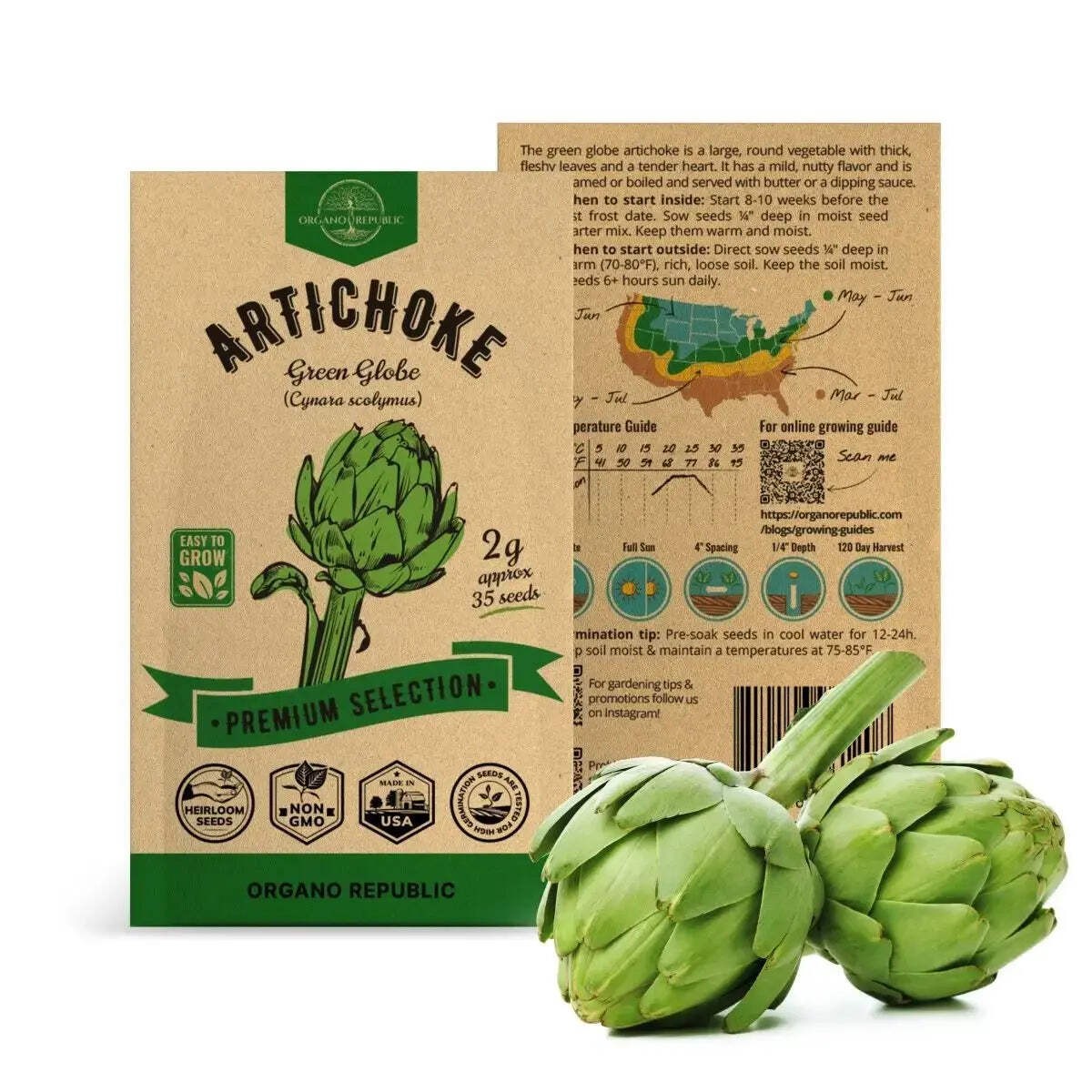 Green Globe Artichoke Seeds Pack 2G