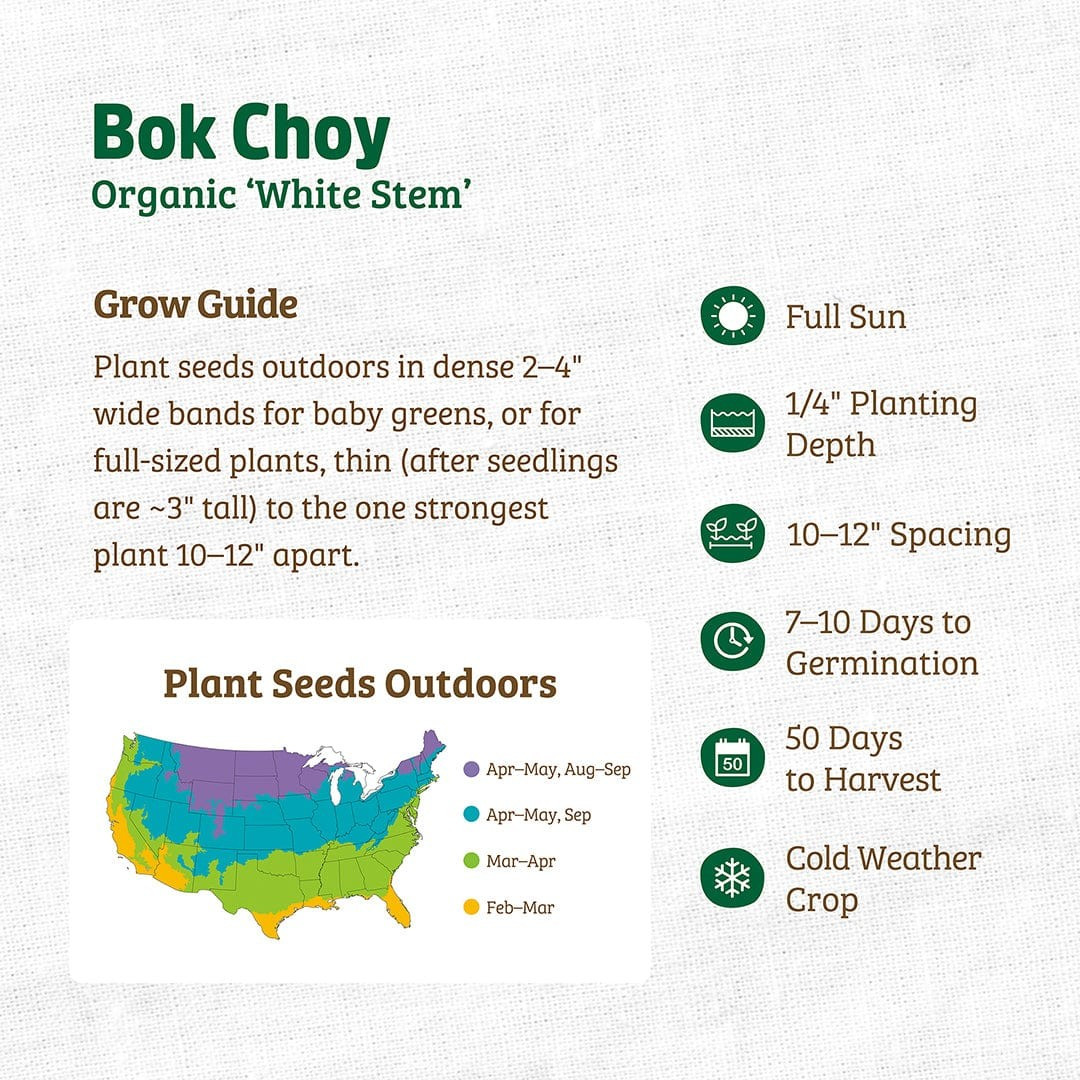 Bok Choy Cabbage Seeds | Heirloom | Non-GMO | Fresh Garden Seeds