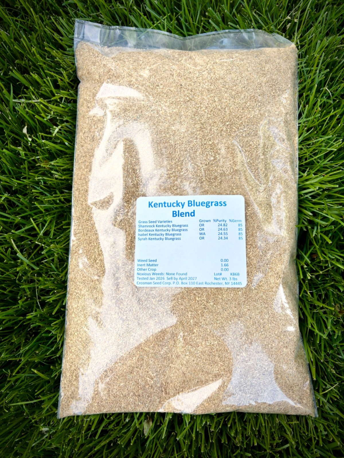 100% Kentucky Bluegrass Grass Seed Blend 3 lb KBG Self-Repairing Cool Season