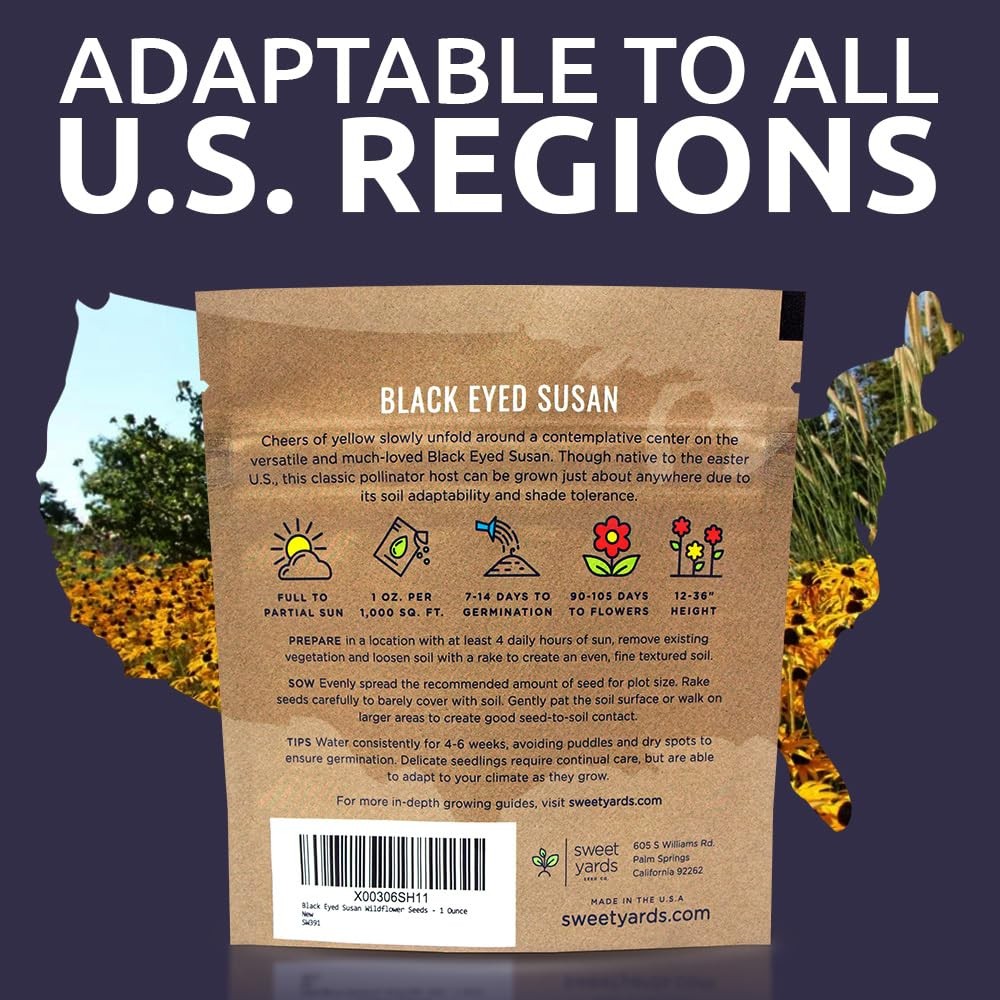Black Eyed Susan Seeds – Extra Large Packet – Over 100,000 Open Pollinated No…