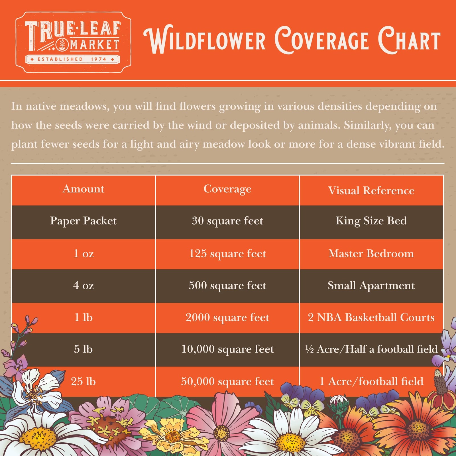 Wildflower Seeds Bulk, 2 Oz. 80,000+ – Butterfly & Tri-colour