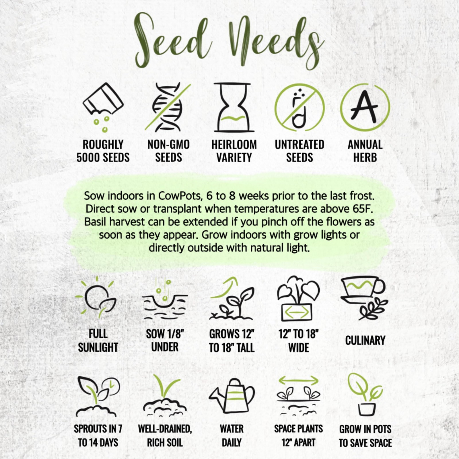 Basil Seeds for Planting – Non-GMO Thai Basil for Indoor/Outdoor Herb Garden