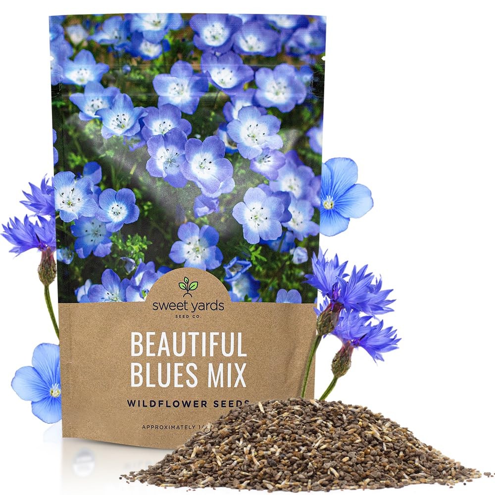 All Blues Wildflower Seeds – Bulk 1/4 Pound Bag – Over 30000 PureAnnual and P…
