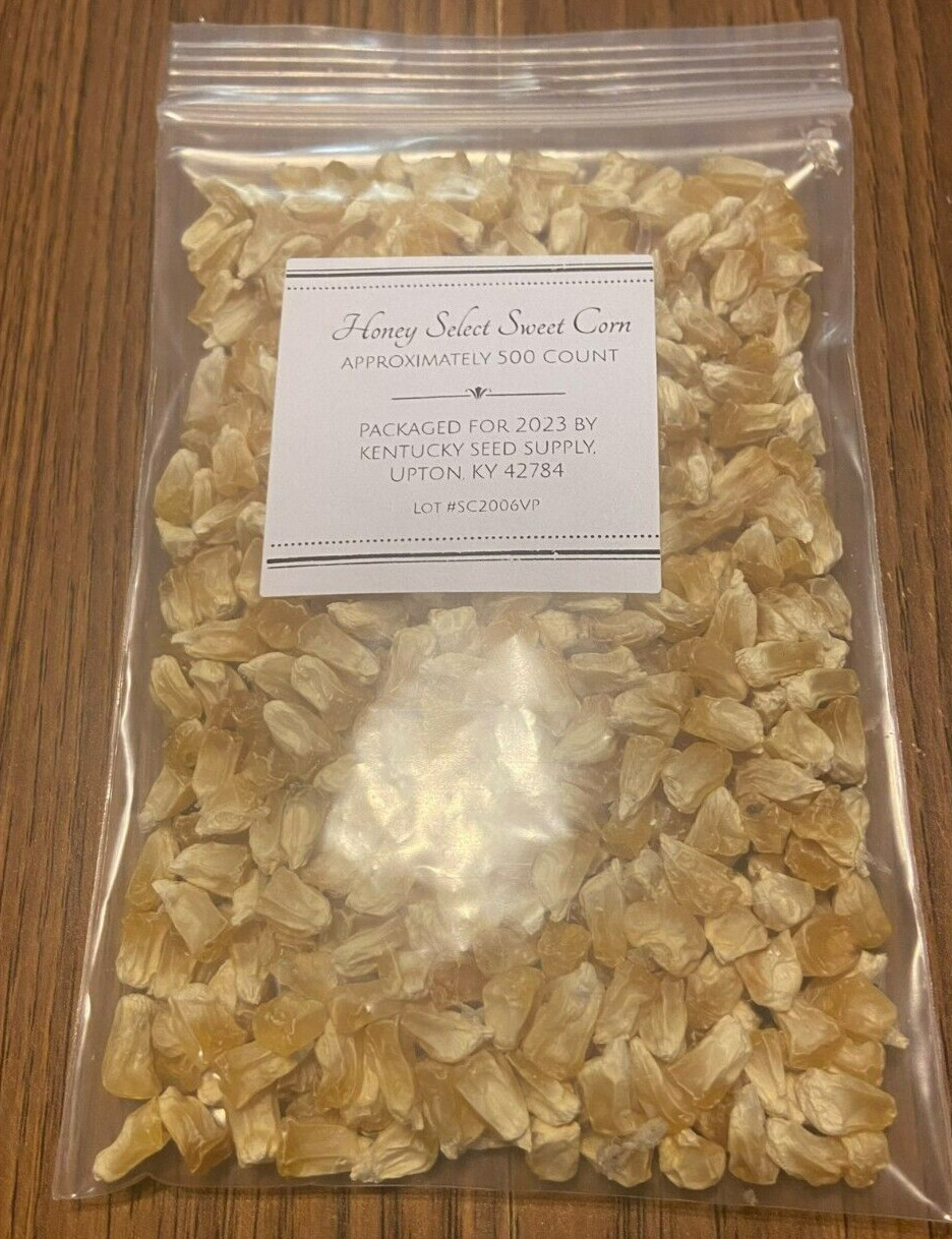 Honey Select Sweet Corn. 500 count approx. FREE SHIPPING. NON-GMO SEEDS.