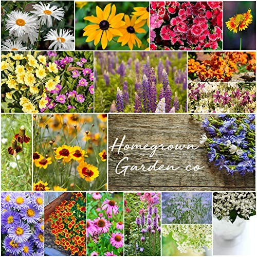 Wildflower Seeds – Premium Flower Seeds [1/4 Pound] Garden Seeds for Perennial
