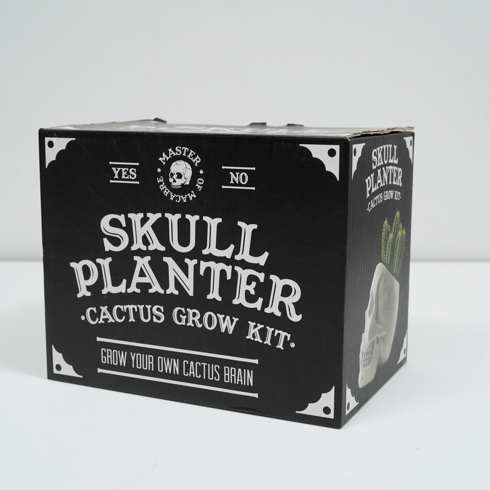 Skull Planter Cactus Grow Kit Macabre Gothic Decor Novelty Gift New in Box