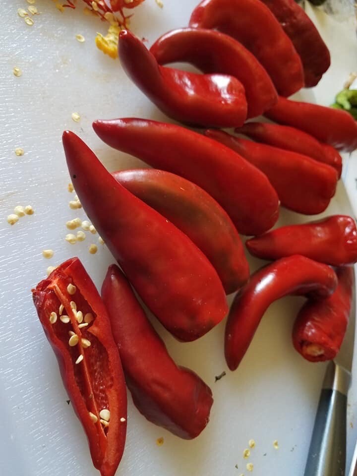 Organic Sweet Paprika PEPPER, Fuscher Paprika -30 Heirloom Seeds