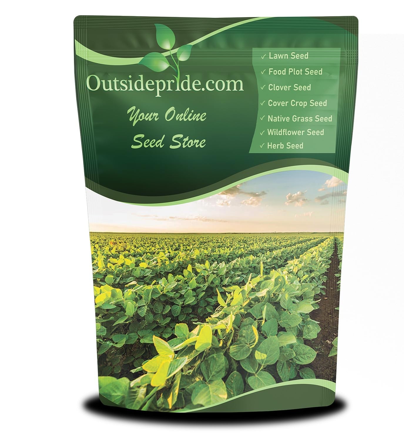 High-Protein Heirloom Soybean Seeds – 10 lbs