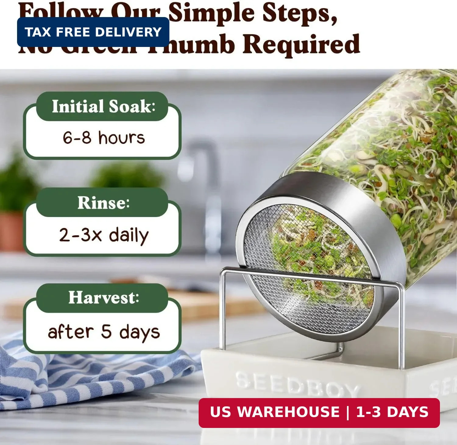 Seedboy Organic Non-GMO Sprouting Seeds, Fresh Salad Blend – USA Grown Microgree