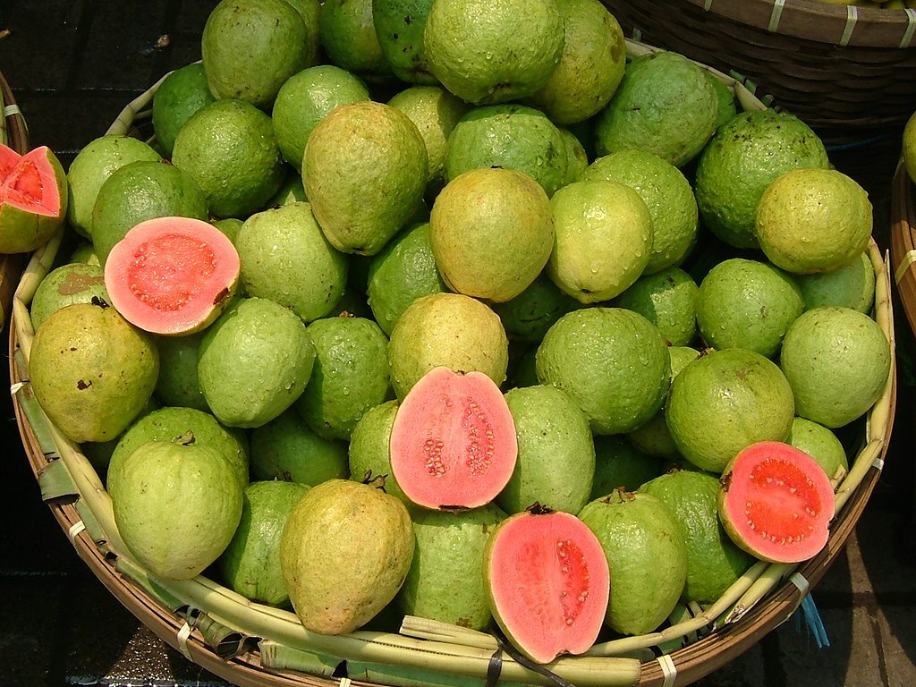 20 Pink Guava Seeds Psidium guajava Free Shipping