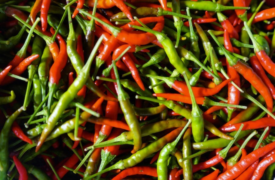 New 2026 Thai Hot Pepper – Prik Mun – 25 Seeds – Non GMO – Free Shipping