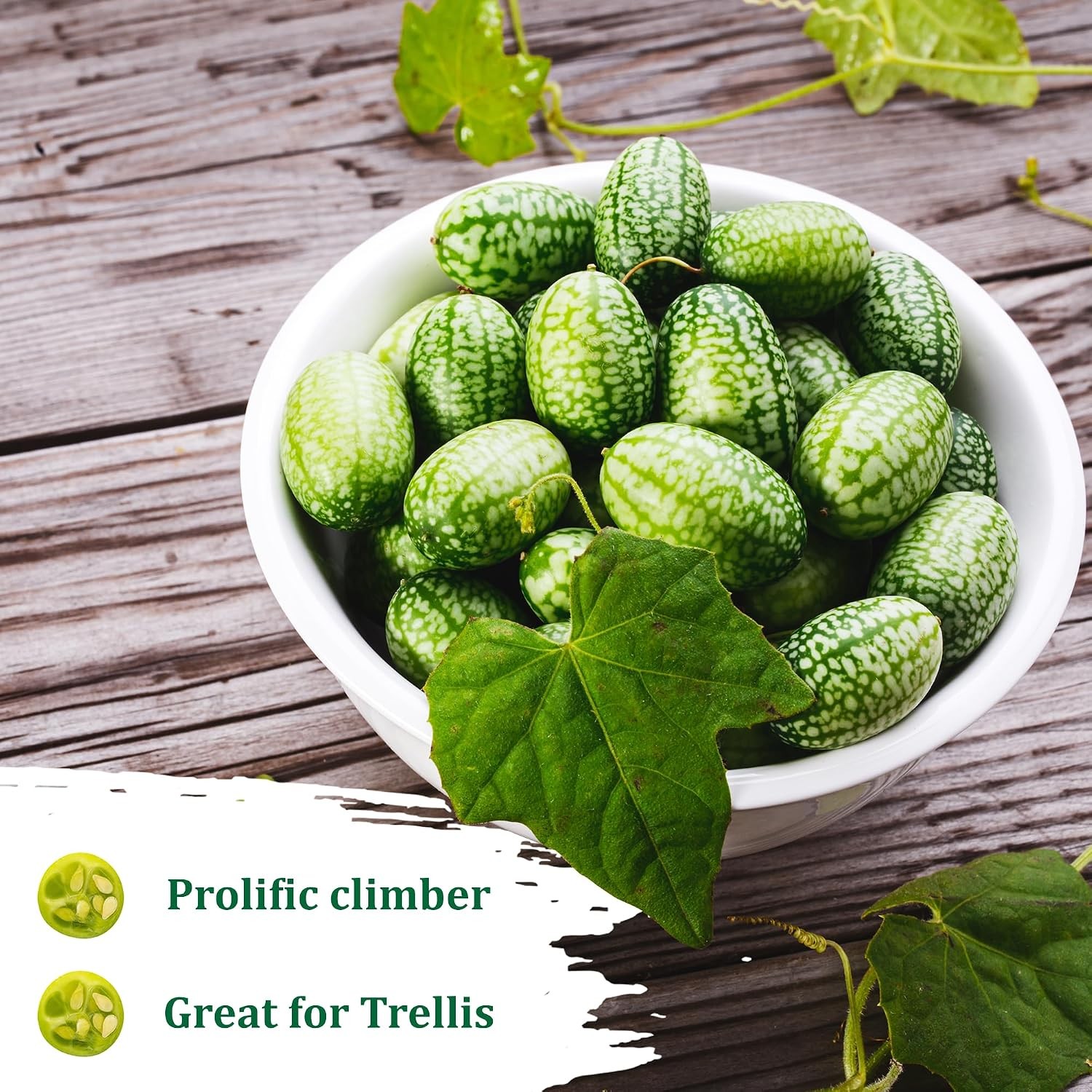 Cucamelon Heirloom Non GMO Vegetable Seeds for Planting, 75 Seeds, Gardening,