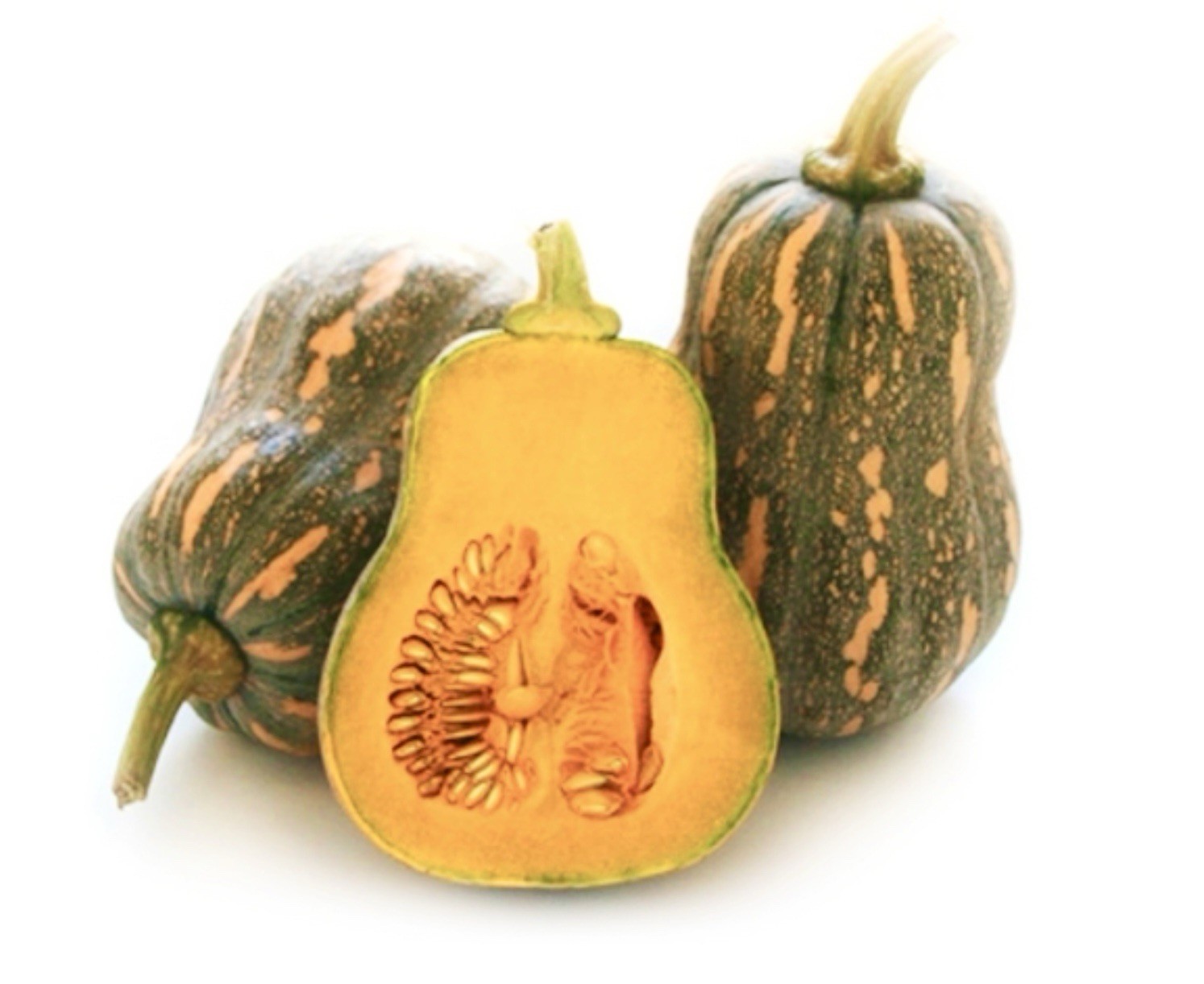 Sweet Green-Striped Butternut Squash – 10 Seeds 2026 – USA