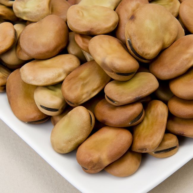 Bean Henderson Bush Lima or Fava Broad Windsor/ Heirloom/Open Pollinated/non GMO