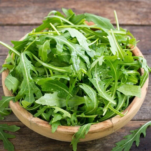 ORGANIC ARUGULA SEEDS -Microgreens, NON-GMO- 1200 Seeds