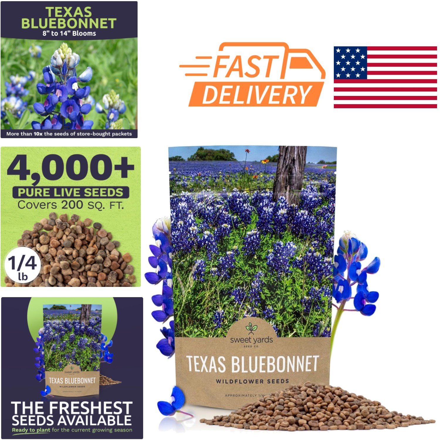 Wildflower Seeds Texas Bluebonnet 1/4 Pound Bag Full Sun Adaptable Soils
