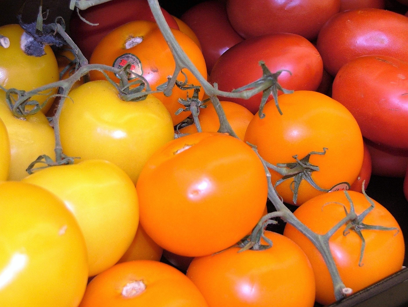 100 ORANGE CHERRY TOMATO Heirloom Solanum Lycopersicum Indeterminate Seeds