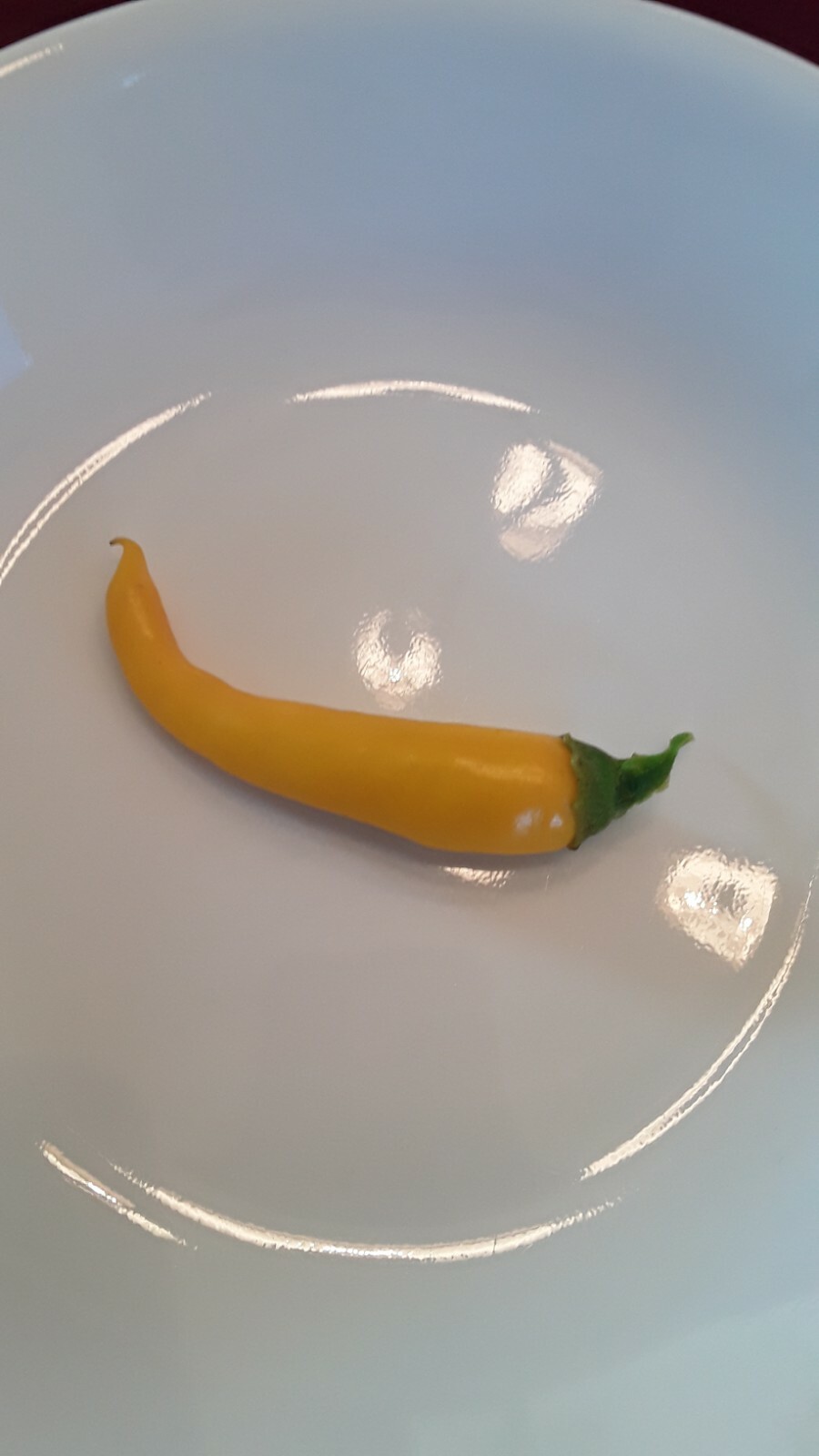 50 Yellow Cayenne pepper seeds Open Pollinated No pesticides or herbicides