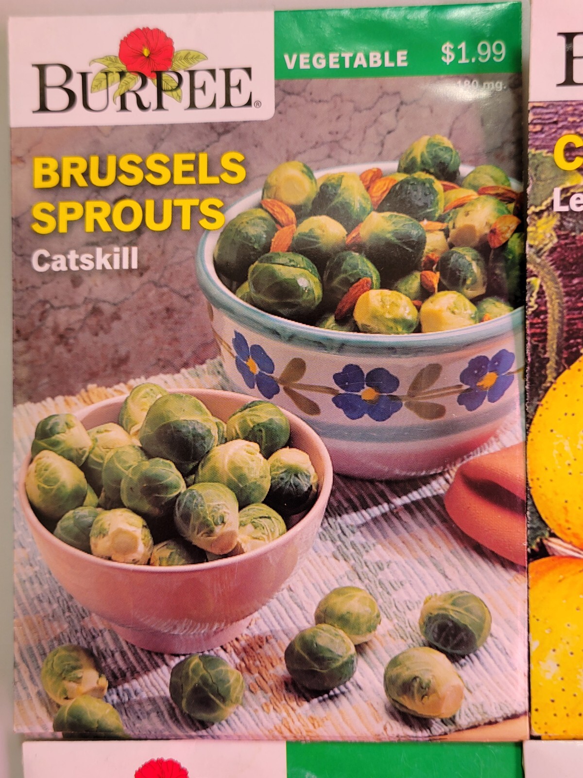 Burpee Vegetable Seeds Assortment 1 (2021) New Inventory Guaranteed to Sprout