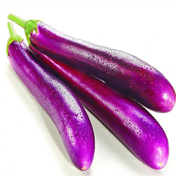 SCARBOROUGH SEEDS EGGPLANT, LONG PURPLE, 200 SEEDS HEIRLOOM, ORGANIC USA