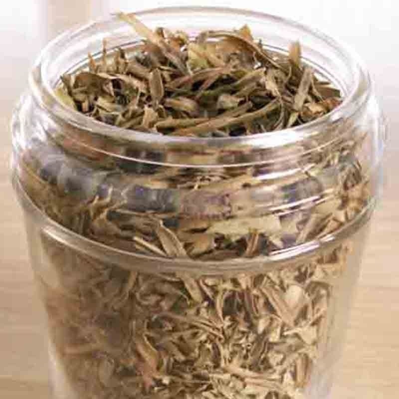 2000+ TARRAGON SEEDS SPRING PERENNIAL HERB FLOWER GARDEN ANISE NON-GMO HEIRLOOM