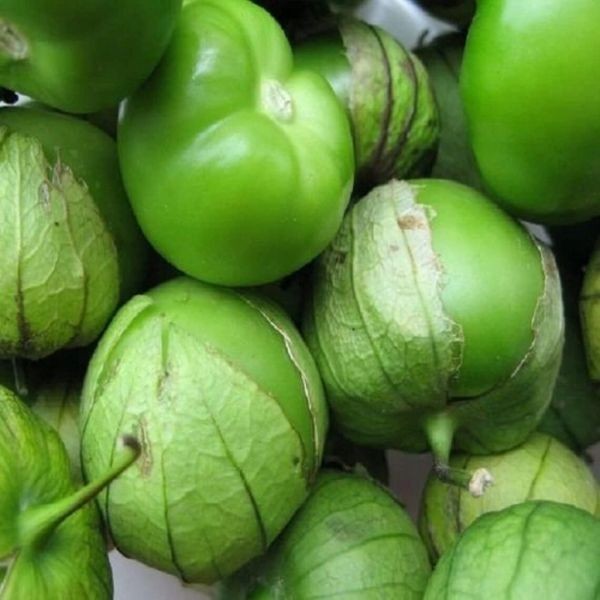 Tomatillo Verde Seeds 100+ SEEDS NON-GMO –BUY 4 ITEMS FREE SHIPPING