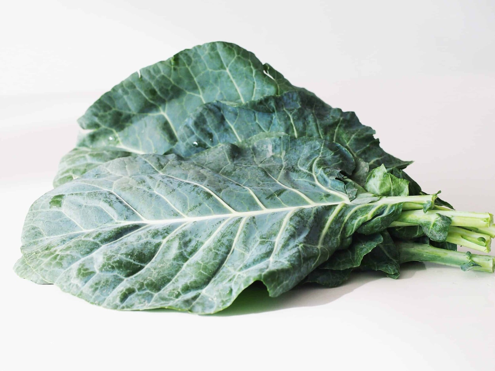  900 Collard Seeds Southern Greens Vegetable THANKS FROM POPPA IN THE GARDEN