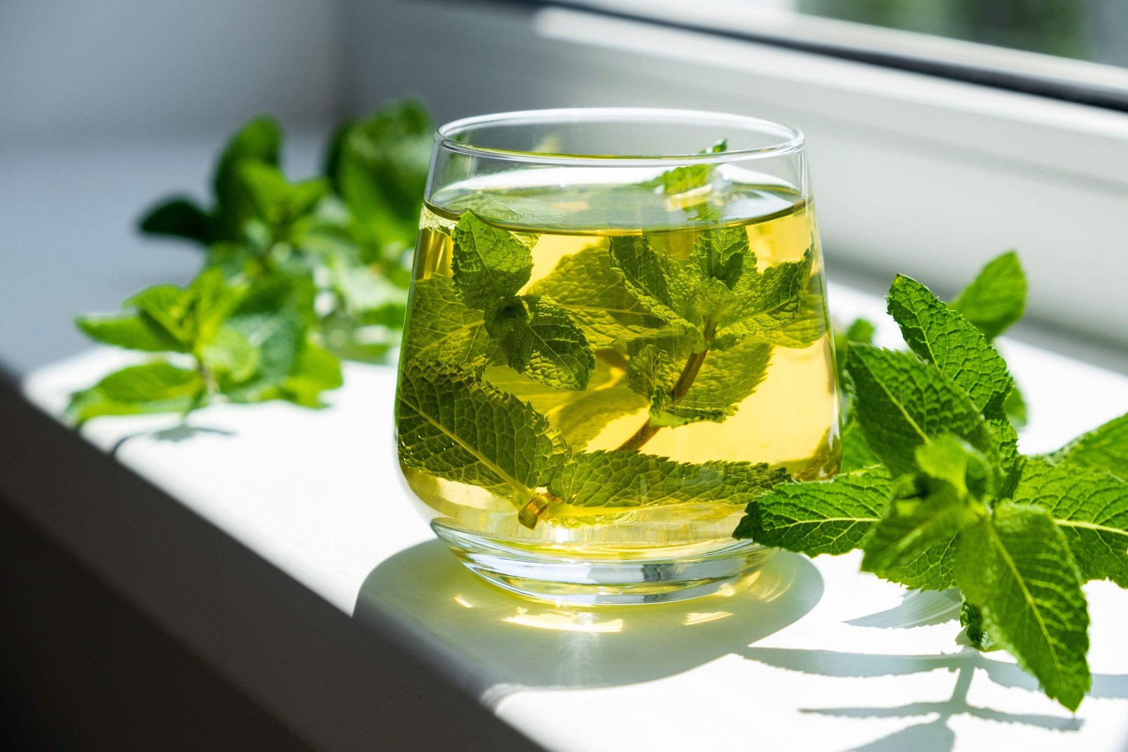 250 PEPPERMINT MINT Mentha Piperita Herb Flower Seeds