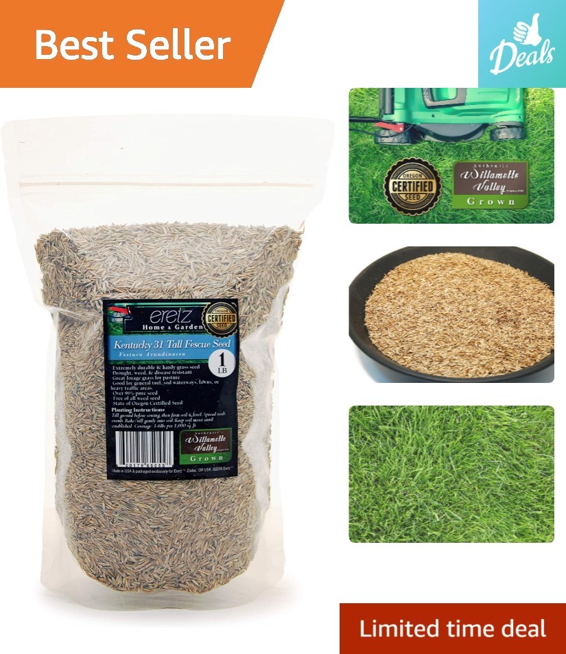 State Certified Kentucky 31 Tall Fescue Grass Seed 1lb – No Fillers, Non-GMO