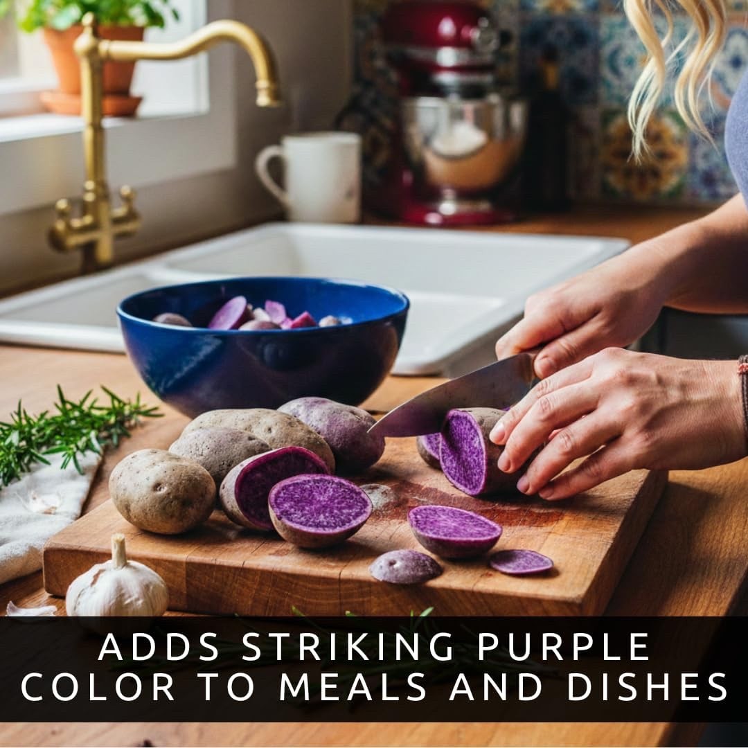 Viking Purple Seed Potatoes for Planting | Vibrant Purple Skin (5 Pounds)