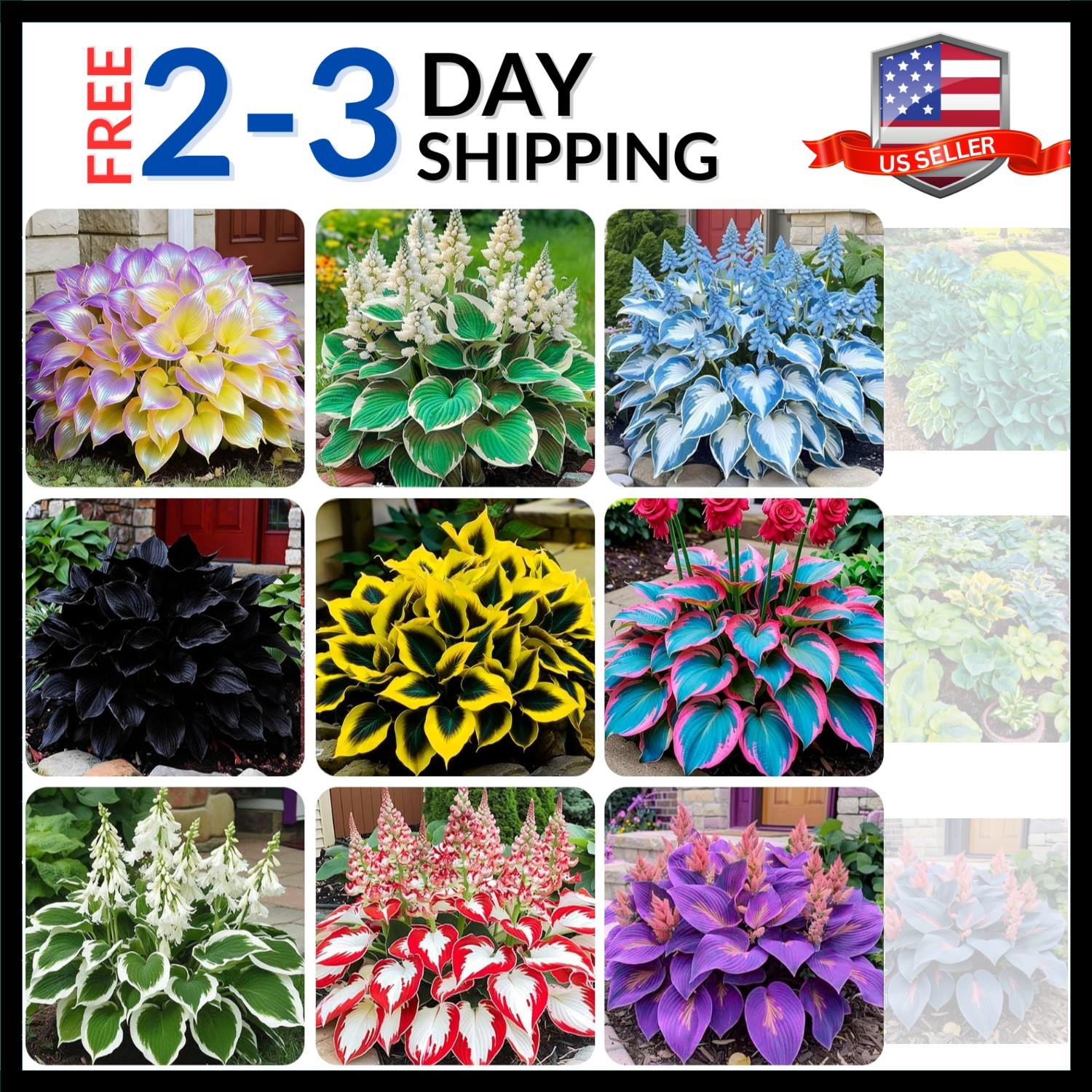 220+ Mixed Rare Hosta Seeds for Planting-Attract Pollinators Perennial Garden…