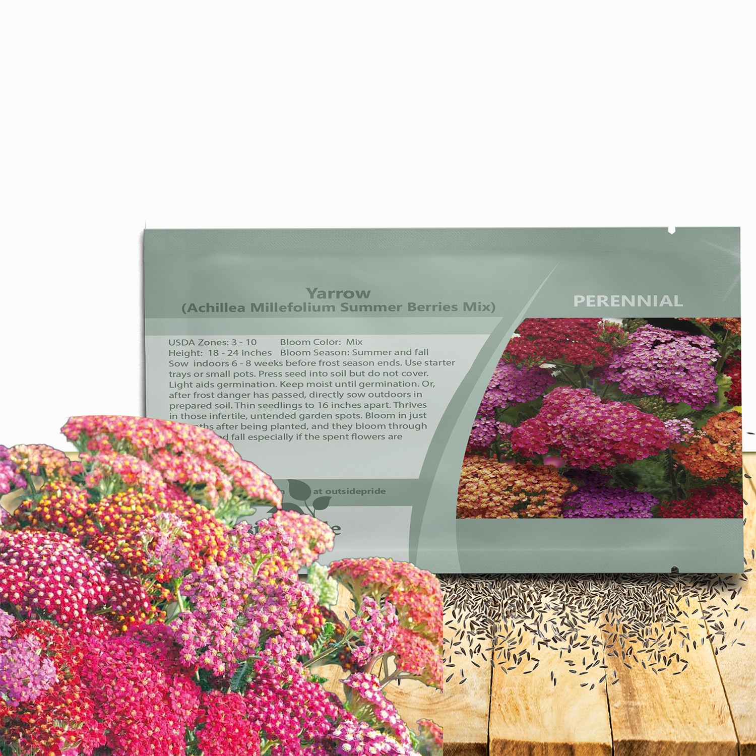 1000 Seeds Yarrow Seed Mix For Planting Outdoors – Achillea Summer Berries